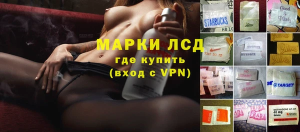 дживик Няндома