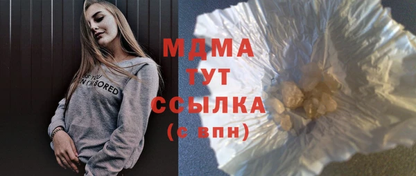 дживик Няндома