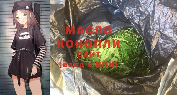 дживик Няндома