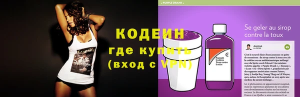стаф Осинники