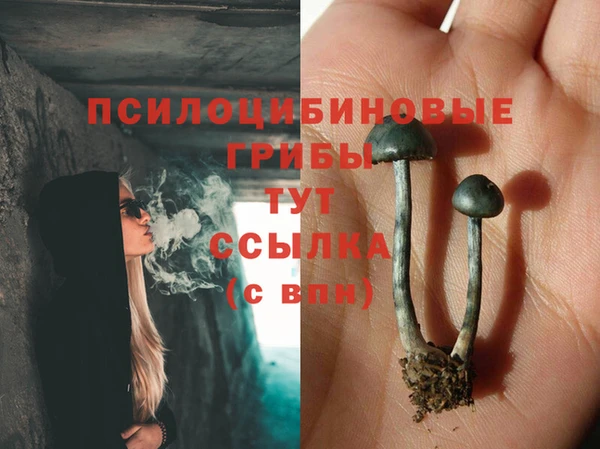 а пвп мука Баксан