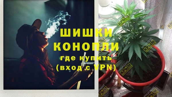 дживик Няндома