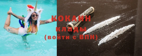 дживик Няндома