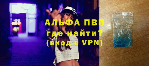 стафф Осташков