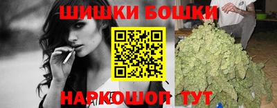 гашик Дубна