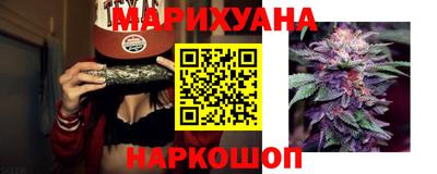 гашик Дубна