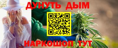 гашик Дубна