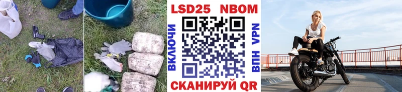 OMG tor  где купить   Кингисепп  ЛСД экстази ecstasy 