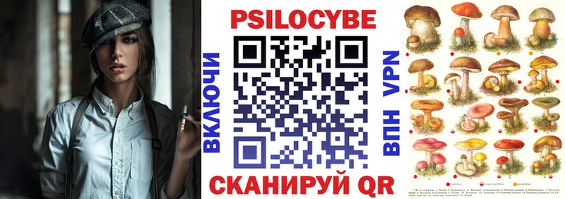 Псилоцибиновые грибы Magic Shrooms  hydra ССЫЛКА  Кингисепп  где можно купить  