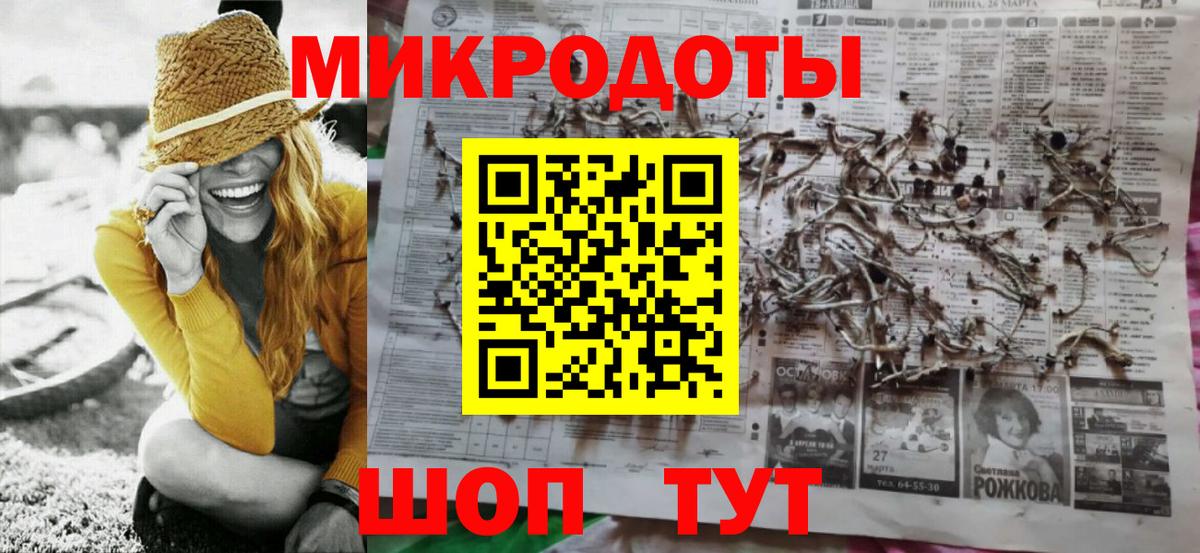 как найти   Кингисепп  Галлюциногенные грибы мухоморы  Псилоцибиновые грибы Magic Shrooms 